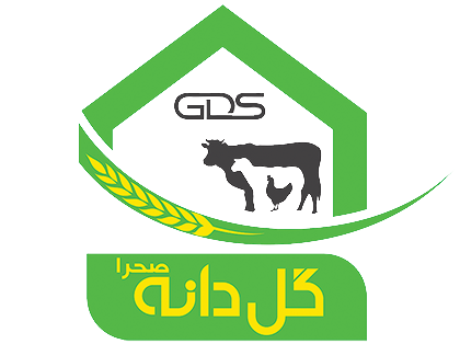 لوگو شرکت